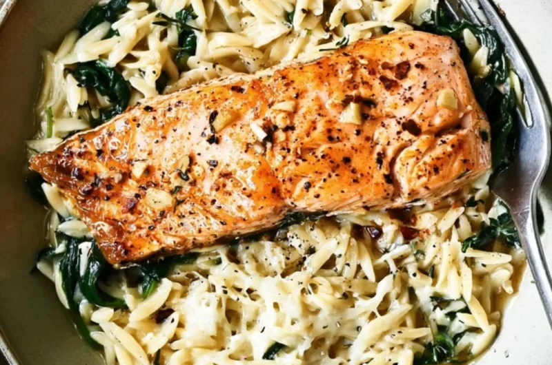 One skillet salmon dish with lemon orzo, healthy dinner recipe
